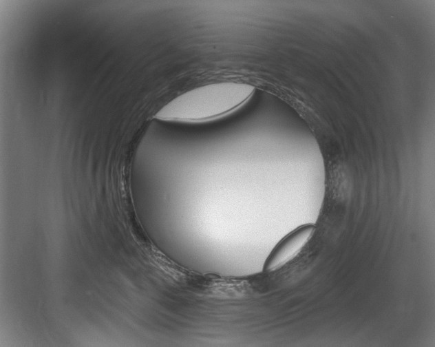 X0000083650571200702120839