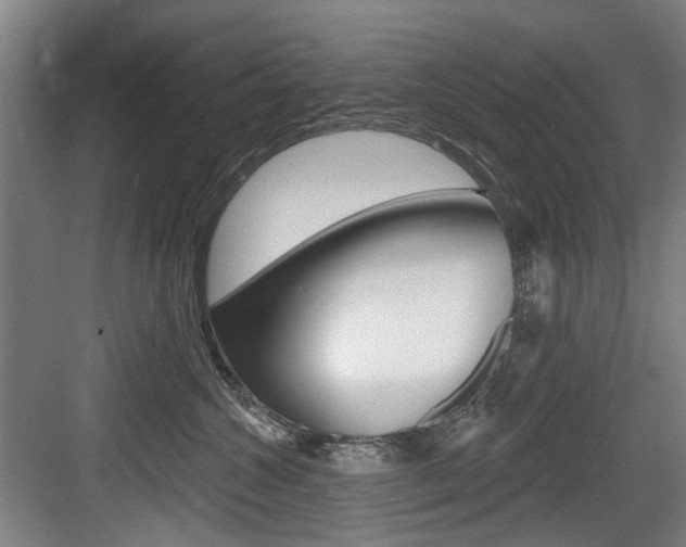 X0000083650572200702120839