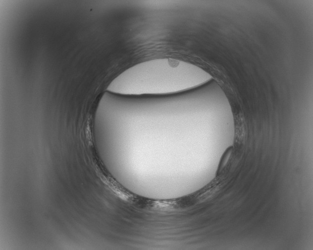 X0000083650573200702120839