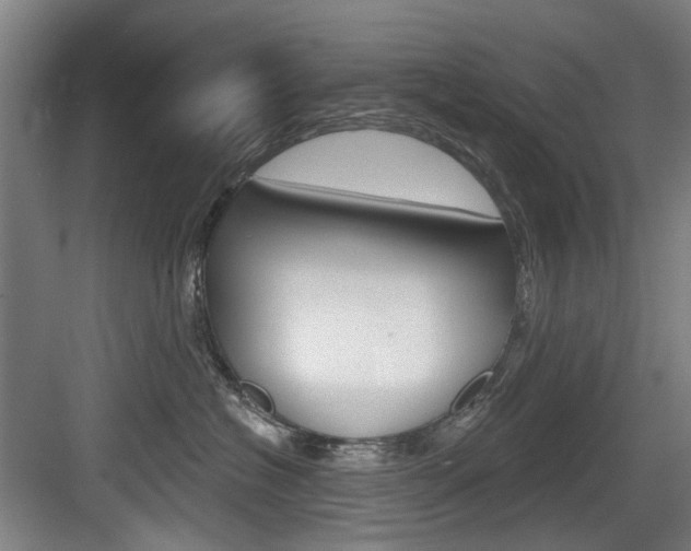 X0000083650574200702120839