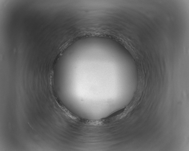 X0000083650576200702120839