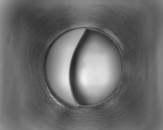 X0000083650577200702120838