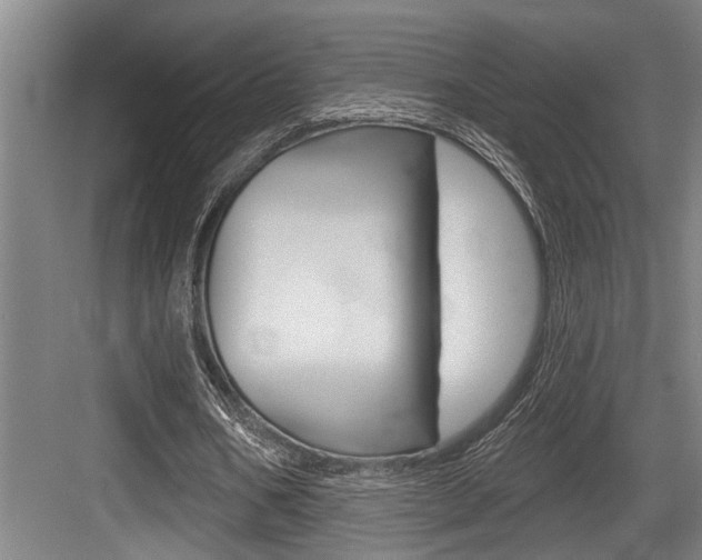 X0000083650578200702120838