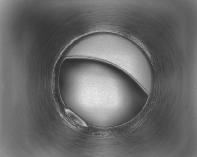 X0000083650580200702120838