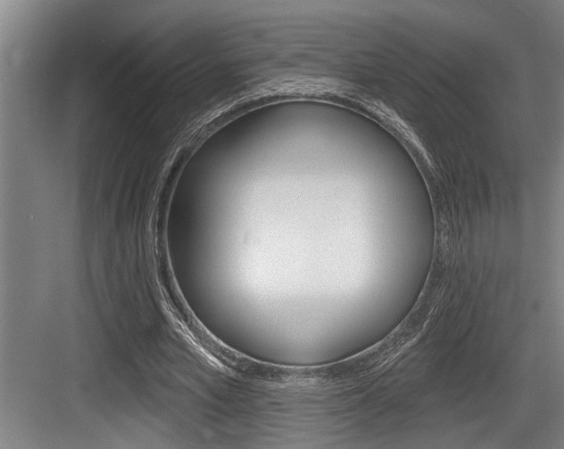X0000083650581200702120838