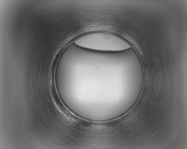 X0000083650582200702120838