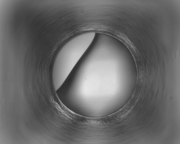 X0000083650585200702120838