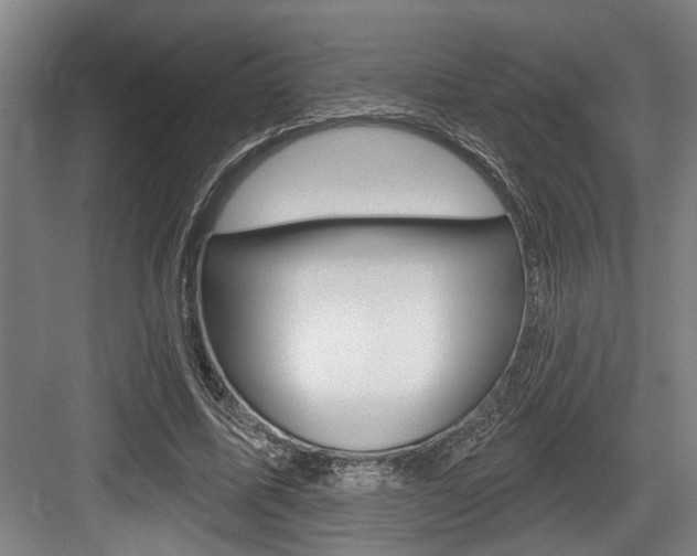 X0000083650587200702120838