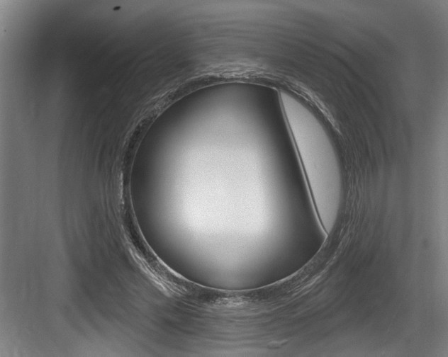 X0000083650589200702120838