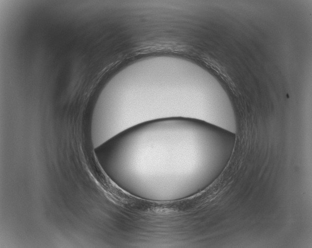 X0000083650590200702120838