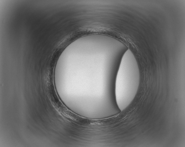 X0000083650591200702120838