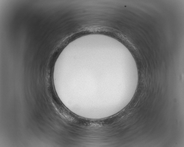 X0000083650592200702120838