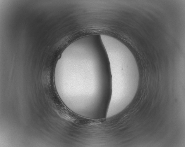 X0000083650595200702120838