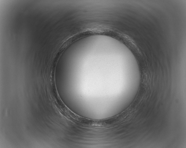 X0000083650596200702120838