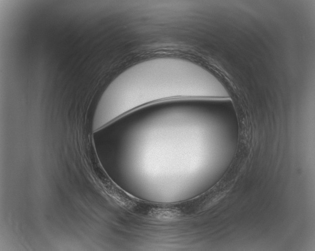 X0000083650597200702120838