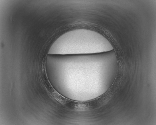 X0000083650598200702120838