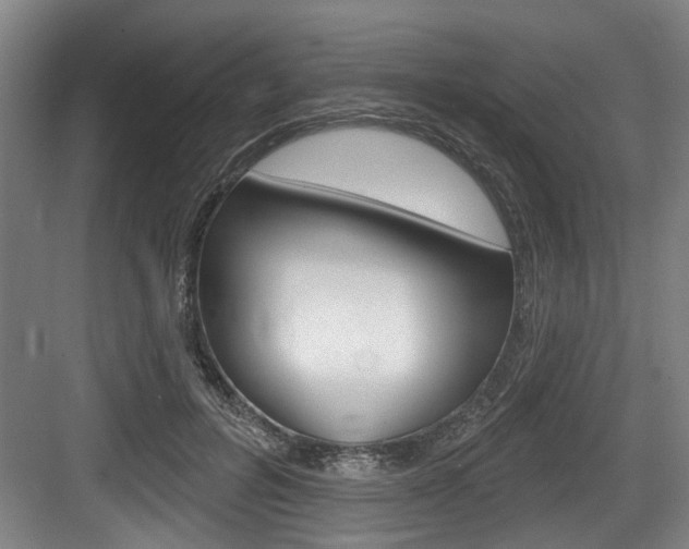 X0000083650600200702120838
