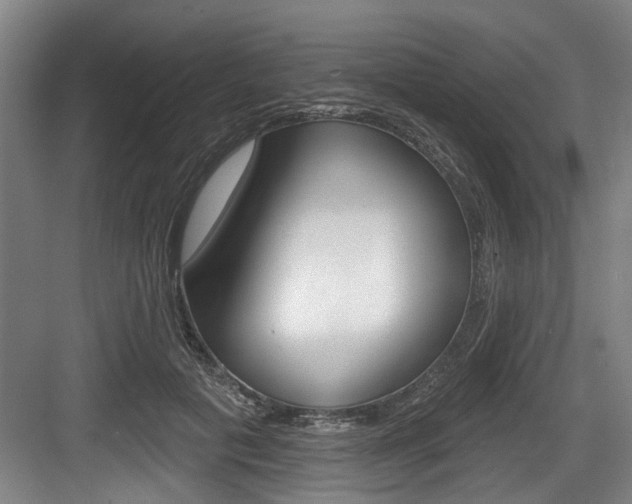 X0000083650601200702120838