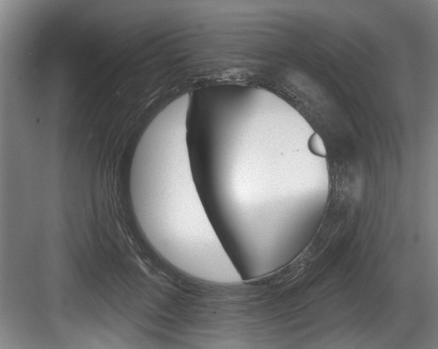 X0000083650603200702120838