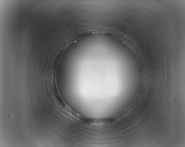 X0000083650604200702120838