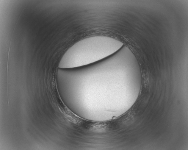 X0000083650606200702120838