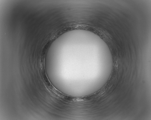 X0000083650607200702120838