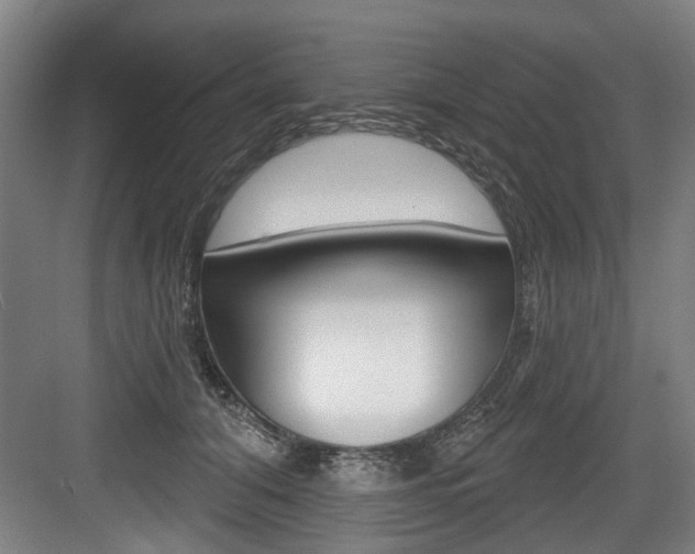 X0000083650608200702120838