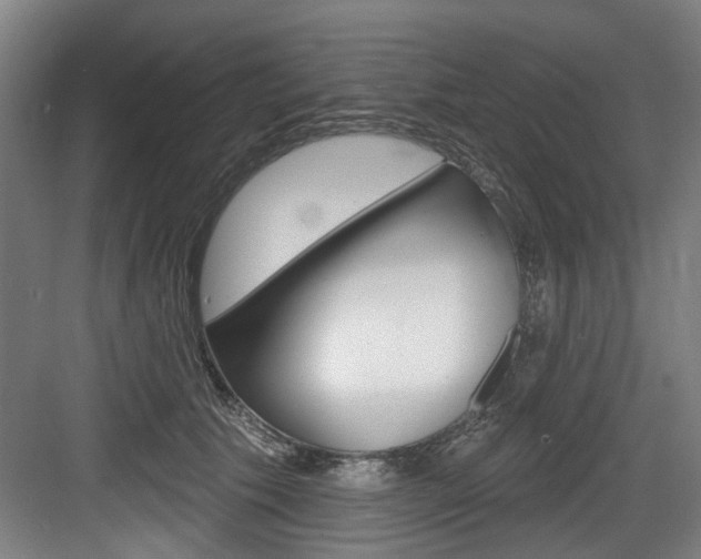 X0000083650609200702120838