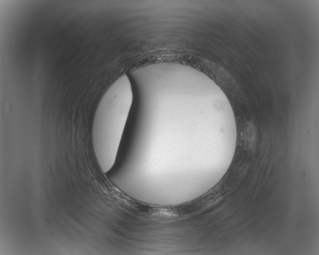 X0000083650610200702120838