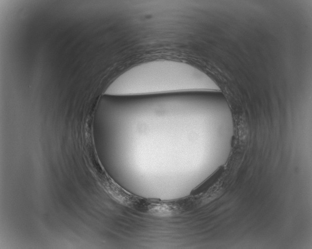 X0000083650611200702120838