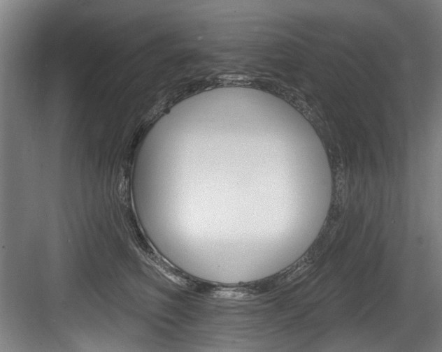 X0000083650614200702120838