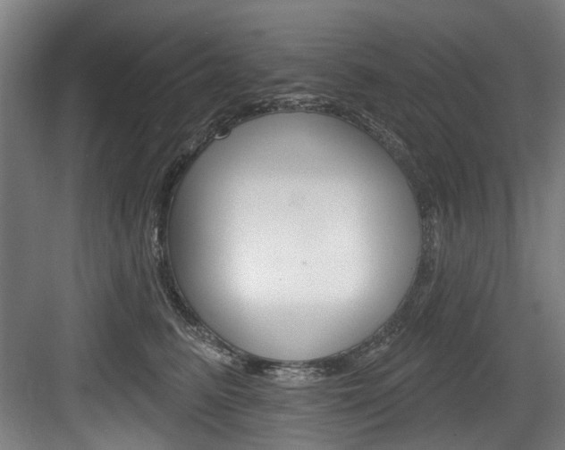 X0000083650615200702120838