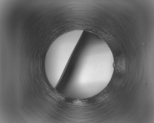 X0000083650616200702120838