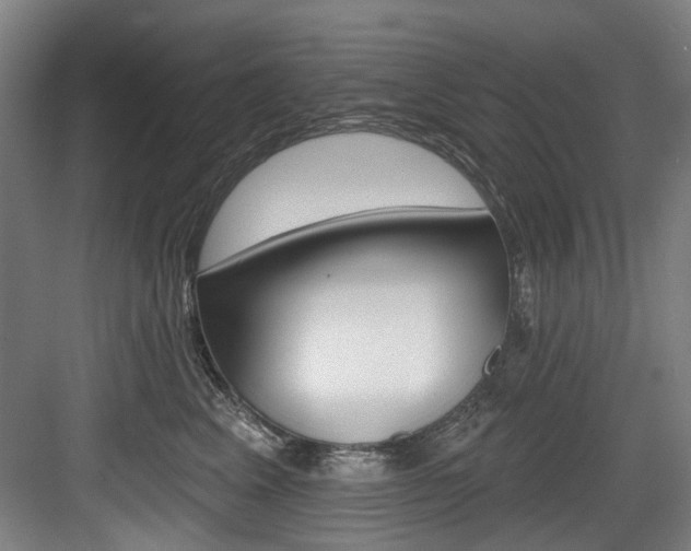 X0000083650617200702120838
