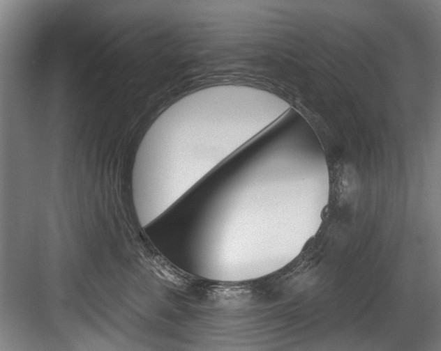 X0000083650619200702120838
