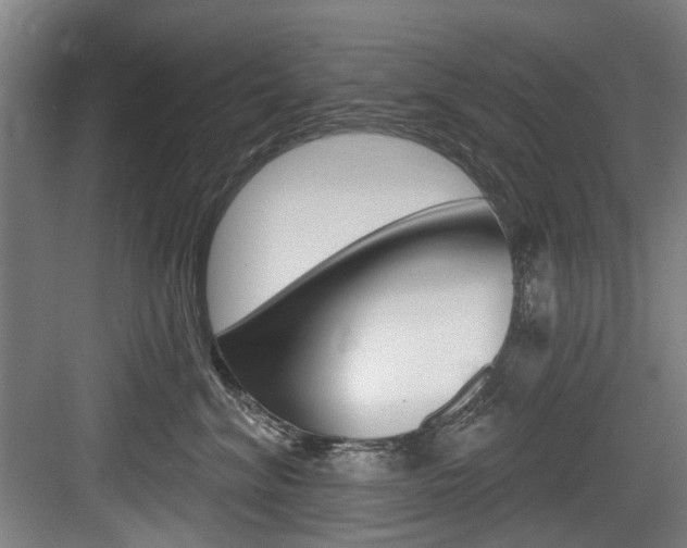 X0000083650620200702120838