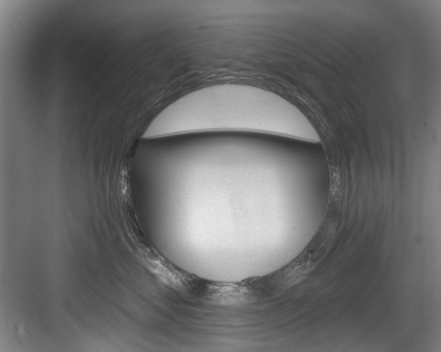 X0000083650621200702120838