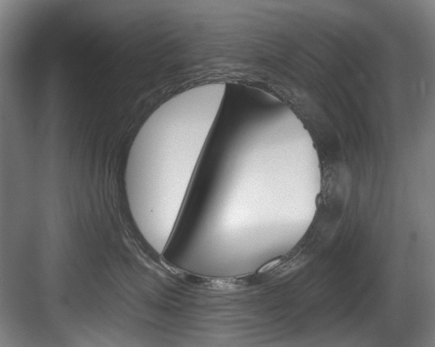 X0000083650623200702120838