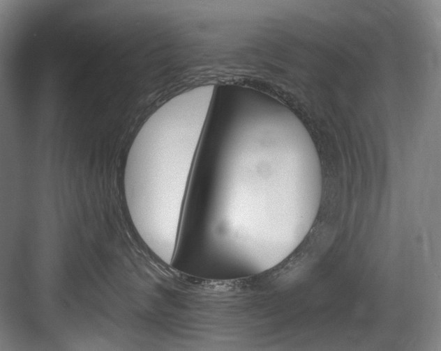 X0000083650624200702120838