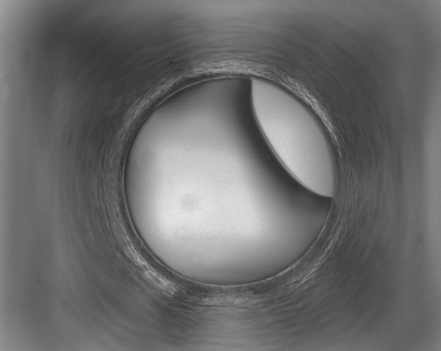 X0000083650625200702120837