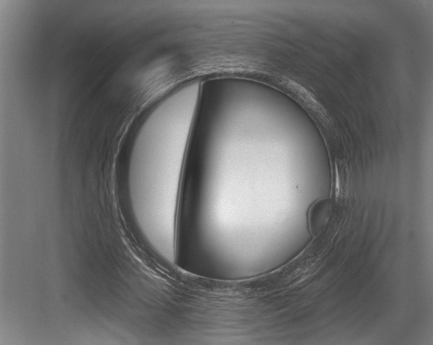 X0000083650627200702120837