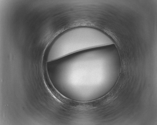 X0000083650630200702120837