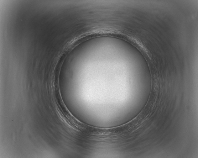X0000083650631200702120837