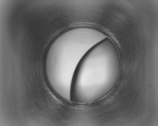 X0000083650633200702120837