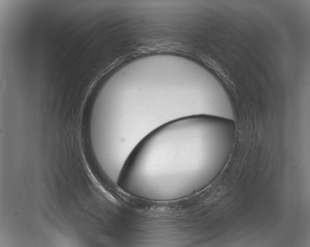 X0000083650634200702120837