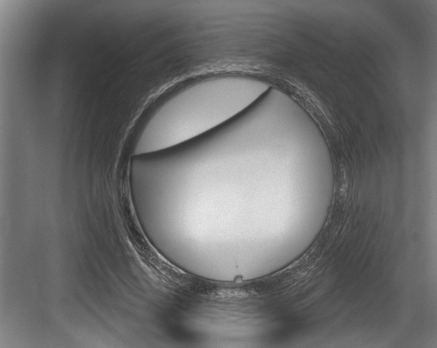X0000083650636200702120837