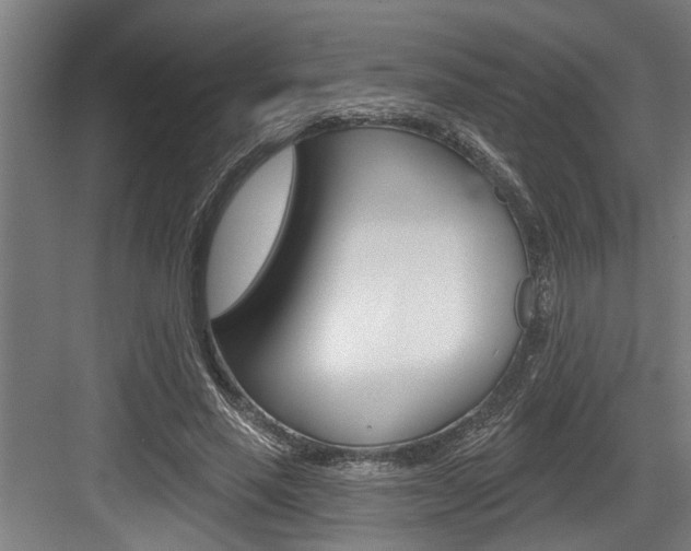 X0000083650637200702120837