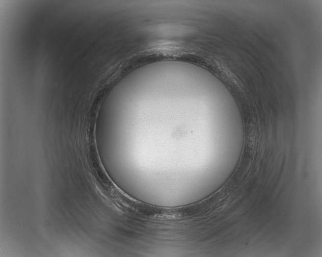 X0000083650639200702120837