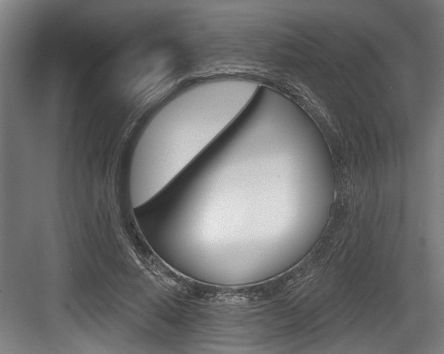 X0000083650640200702120837