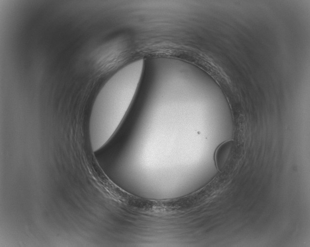X0000083650641200702120837